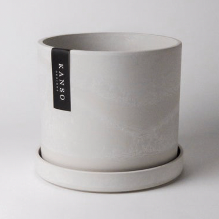 6 in plant pot and saucer