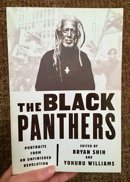 Black Panthers: Portraits from an Unfinished Revolution
