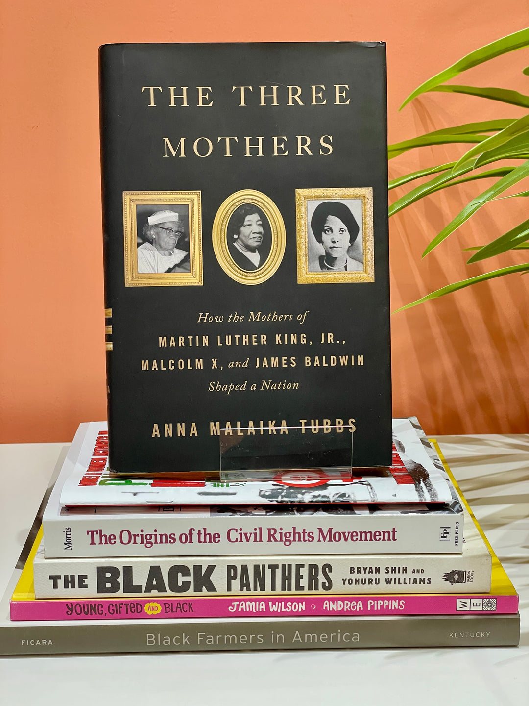 Three Mothers: Mothers of MLK Jr, Malcolm X, & James Baldwin