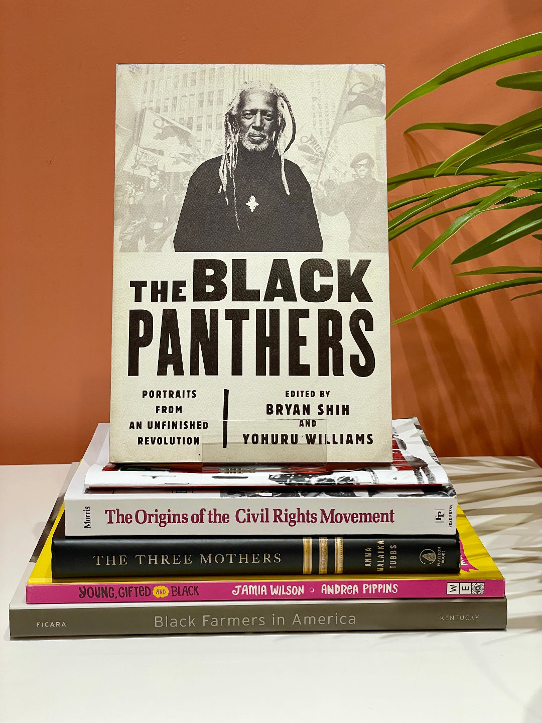 The BLACK PANTHERS book on top of a stack of books in front of an orange background