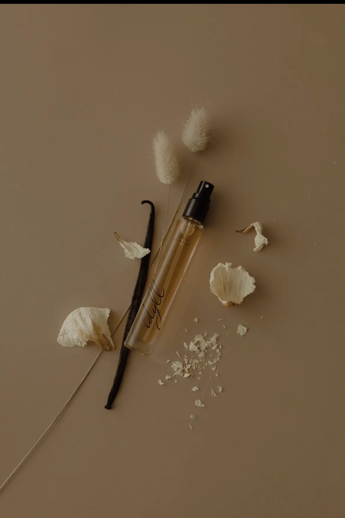 Vanilla pod and flowers on a beige background