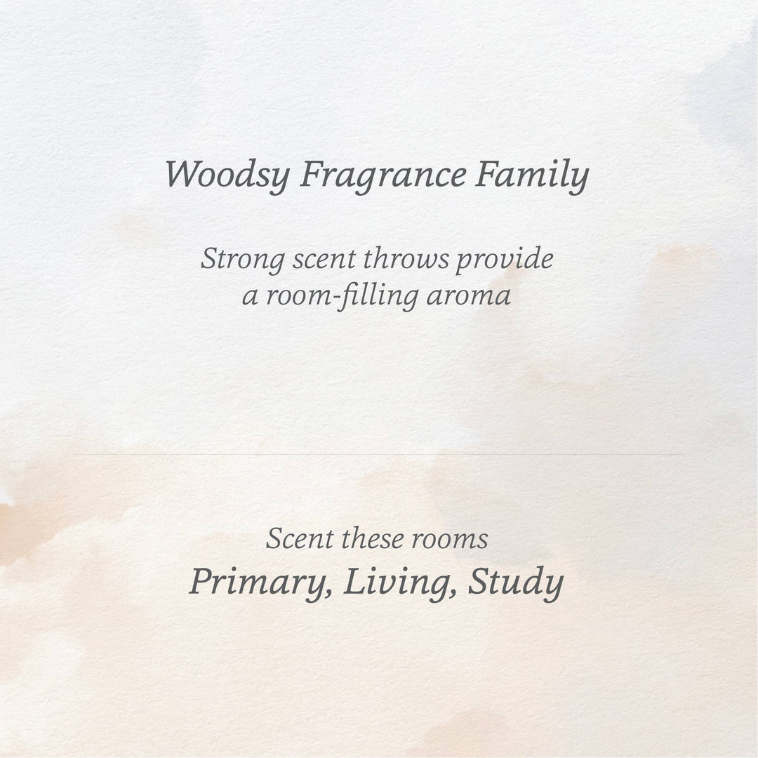 women owned austin candle woodsy fragrance family
