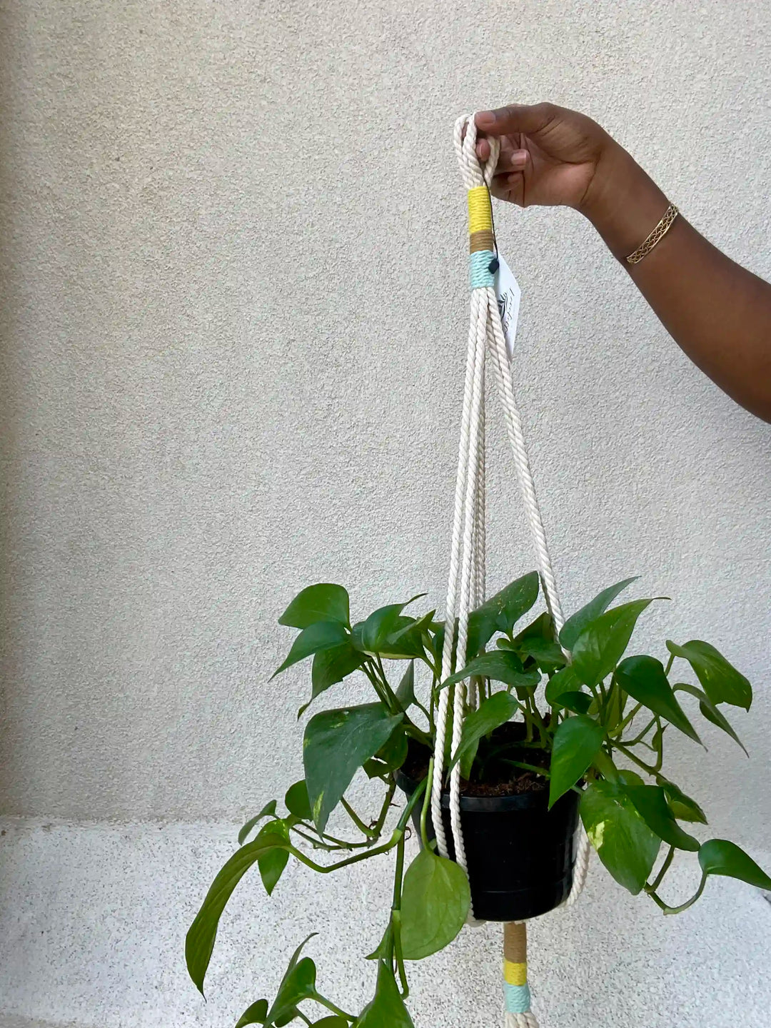 Macrame Plant Hanger, Hanging Planter, Color Block #1