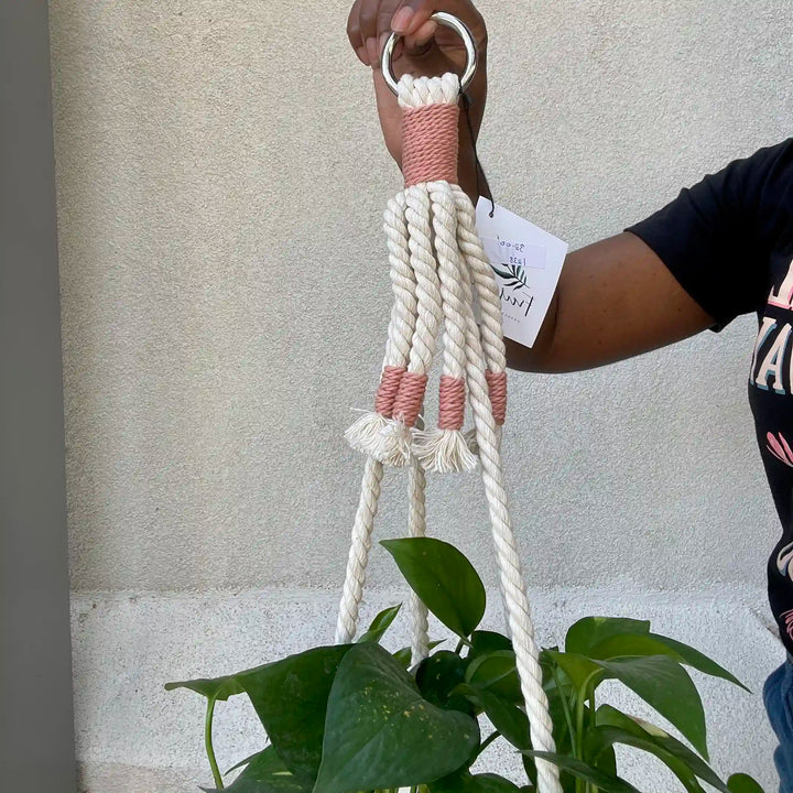 Freefille - Macrame Plant Hanger, No Tassel, Cat Friendly