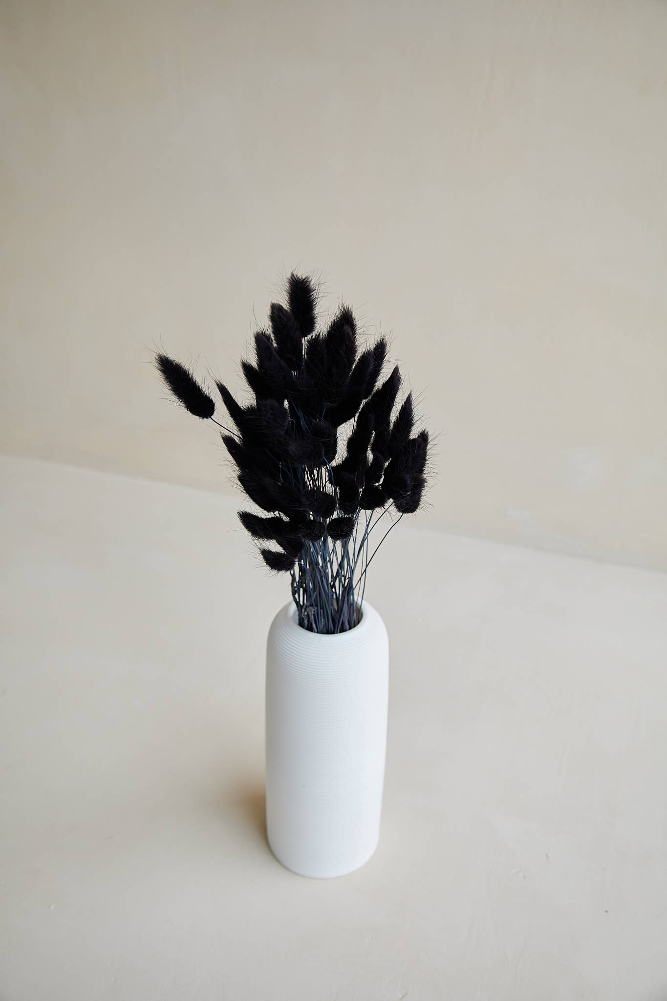 Bunny Tails in Black-For Love Of Pampas