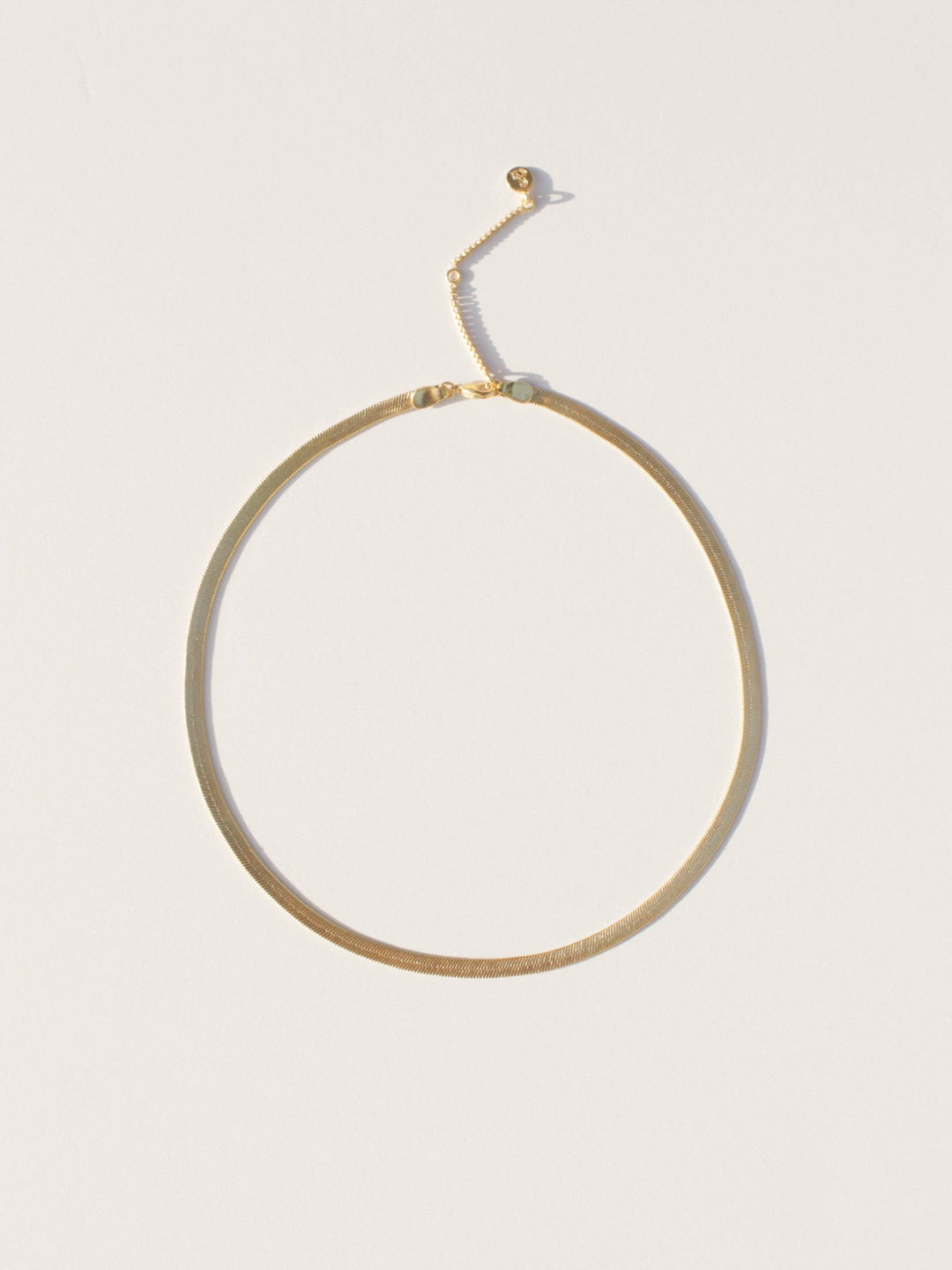 Lani Luxe Herringbone Chain