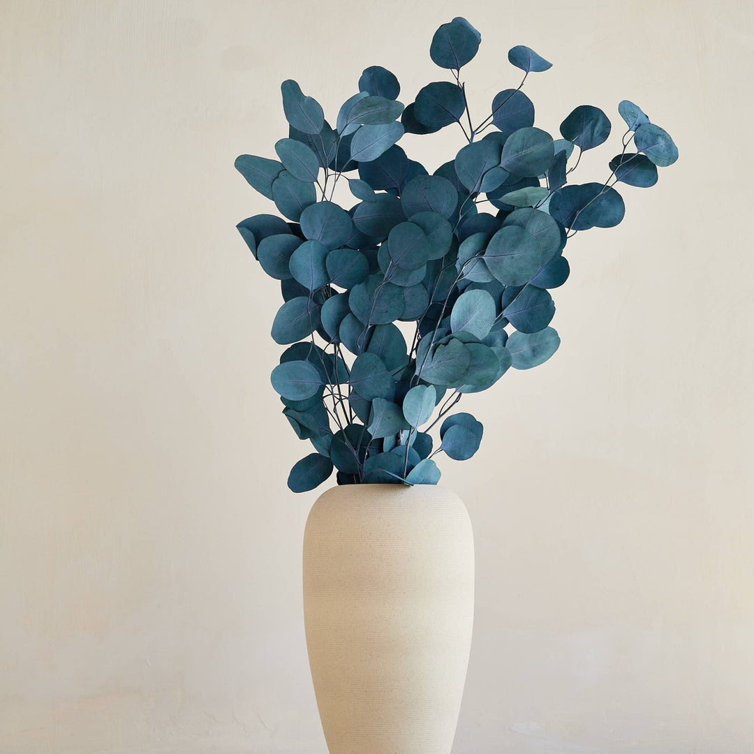 Preserved "Silver Dollar" Eucalyptus in Blue