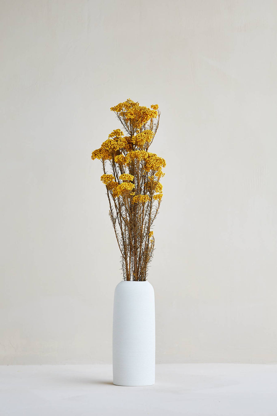 For Love Of Pampas - Preserved Rice Flower in Yellow