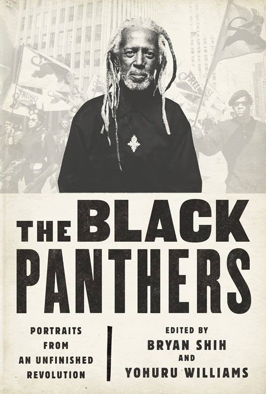 Black Panthers: Portraits from an Unfinished Revolution