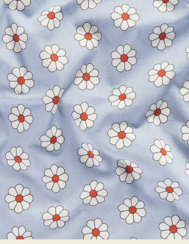Blue DaisyPillow Case Set of 2
