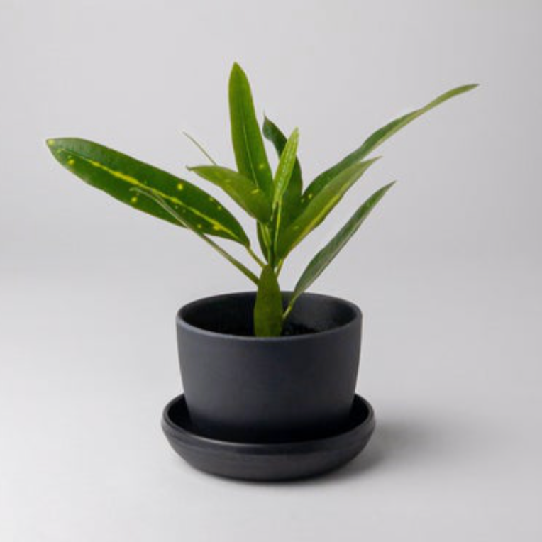 black mini planter