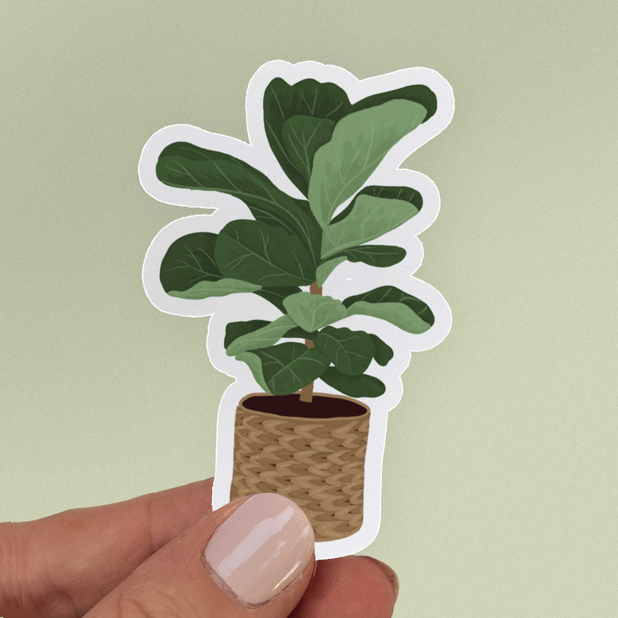 Just Right Design Co. - Fiddle Leaf Fig Sticker