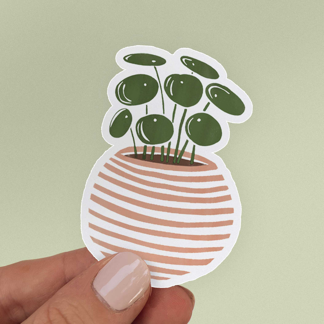 Pilea Plant Sticker-Just Right Design Co.