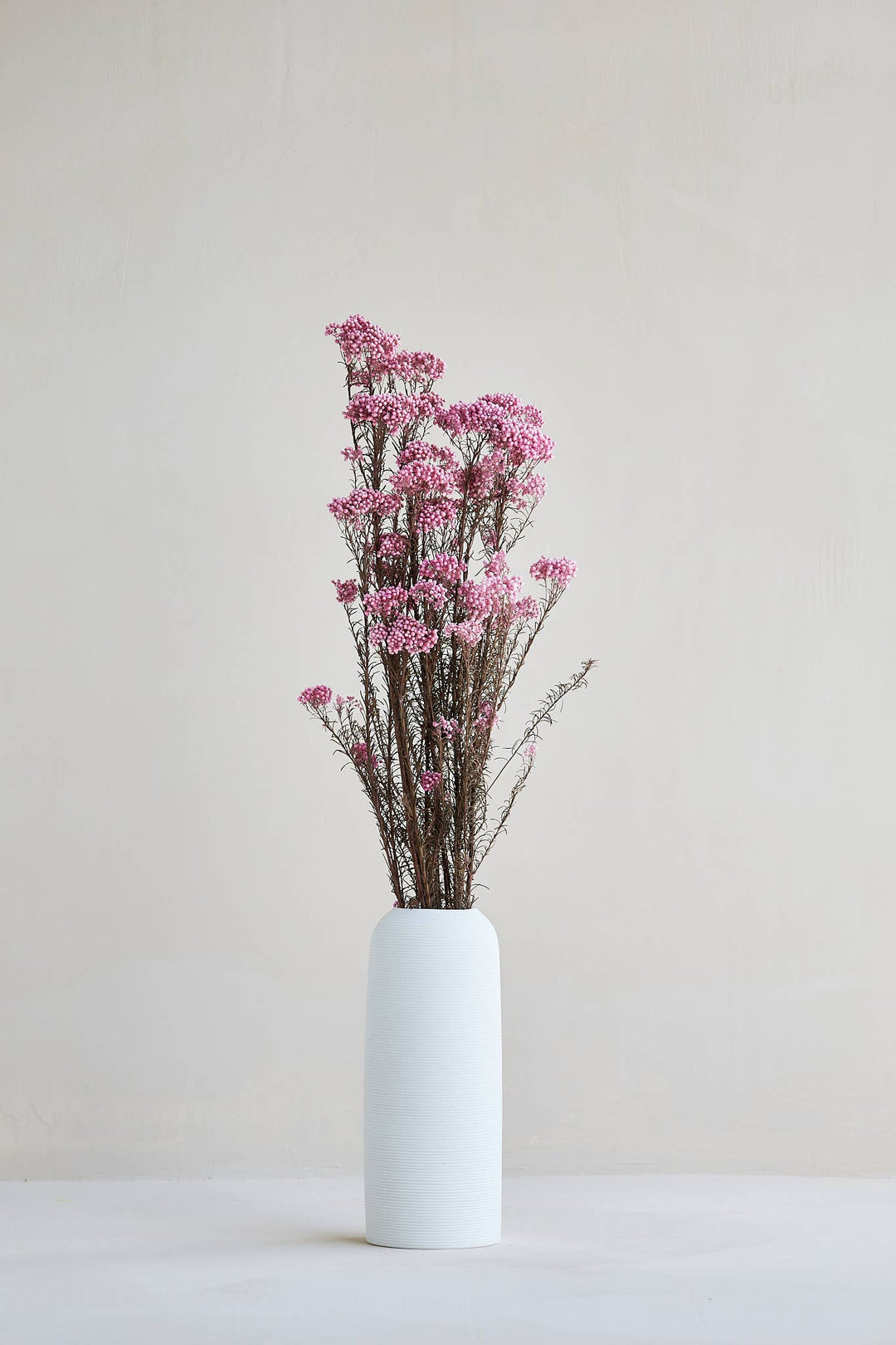 For Love Of Pampas - Preserved Rice Flower in Pink